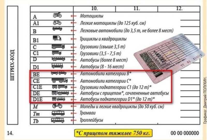 Водительские права и категория е полное руководство и обучение